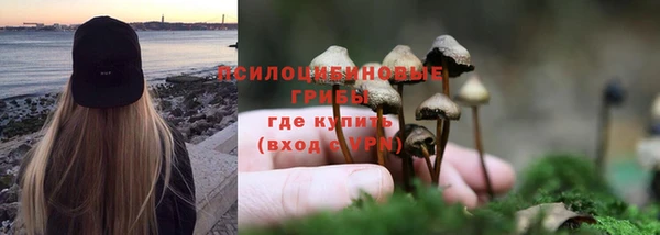 сатива Алзамай