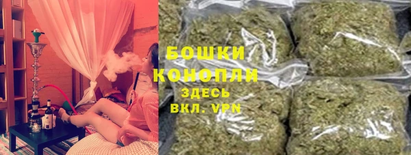 сатива Алзамай