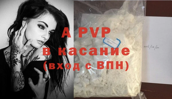 СК Алексин